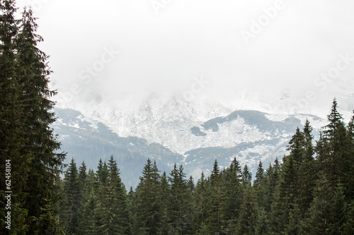Tatras Mountains covered with snow in winter - Poland