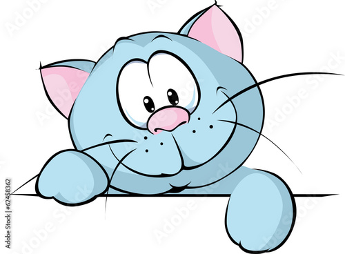british blue cat peeking from behind the desk isolated