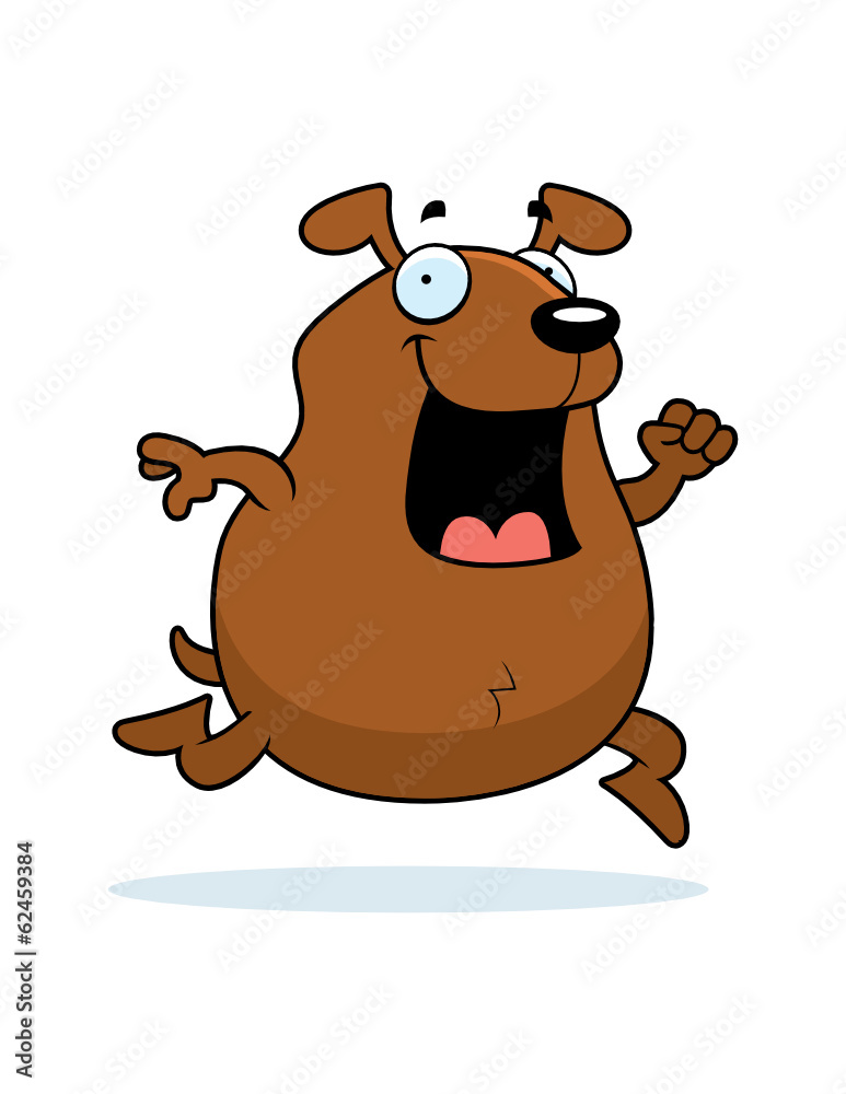 Dog Running Dog Running
