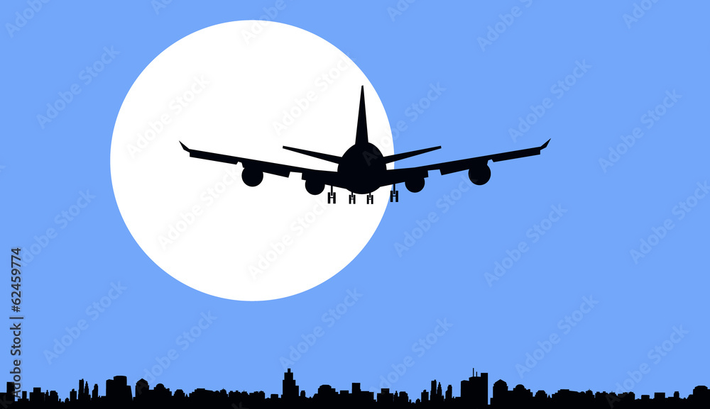 Moon & Night Flight-Vector
