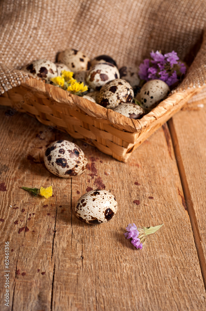 Quail eggs Quail eggs