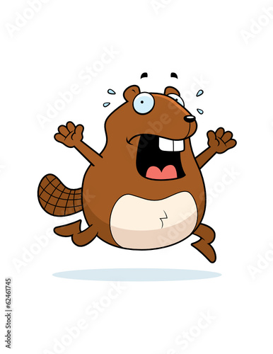 Beaver Panic