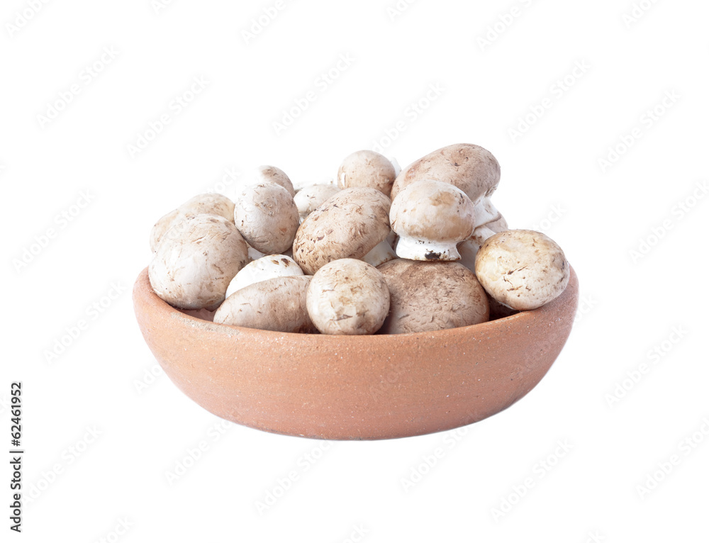 Mushrooms in a bowl of clay isolated over white Mushrooms in a bowl of clay isolated over white