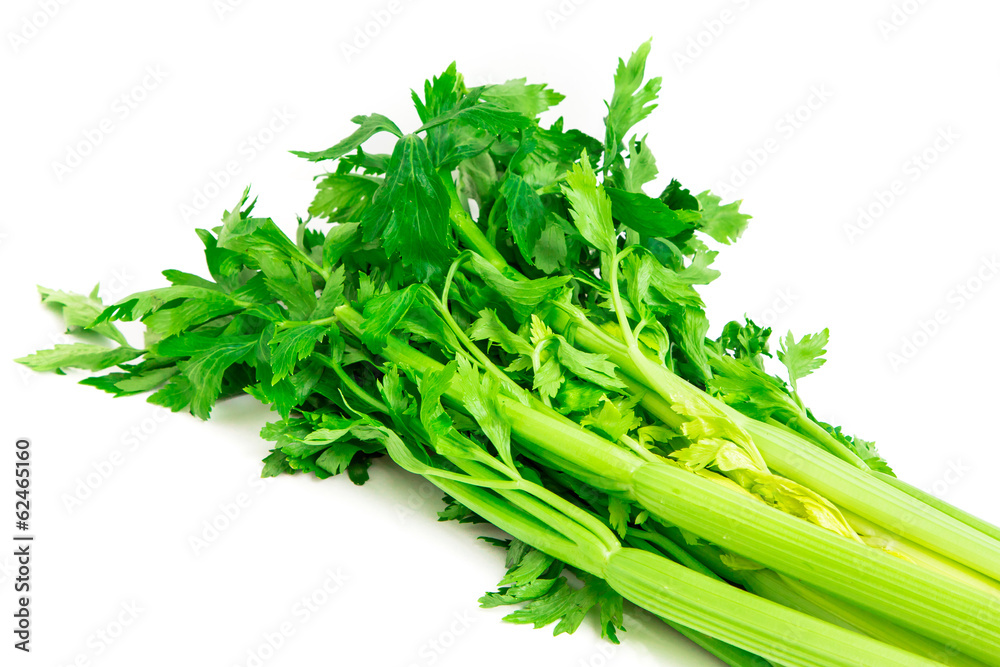 Fresh sedan isolated on white background