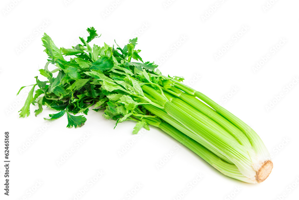 Fresh sedan isolated on white background