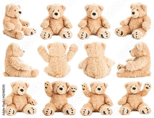 Obraz na plátně Teddy bear in different positions