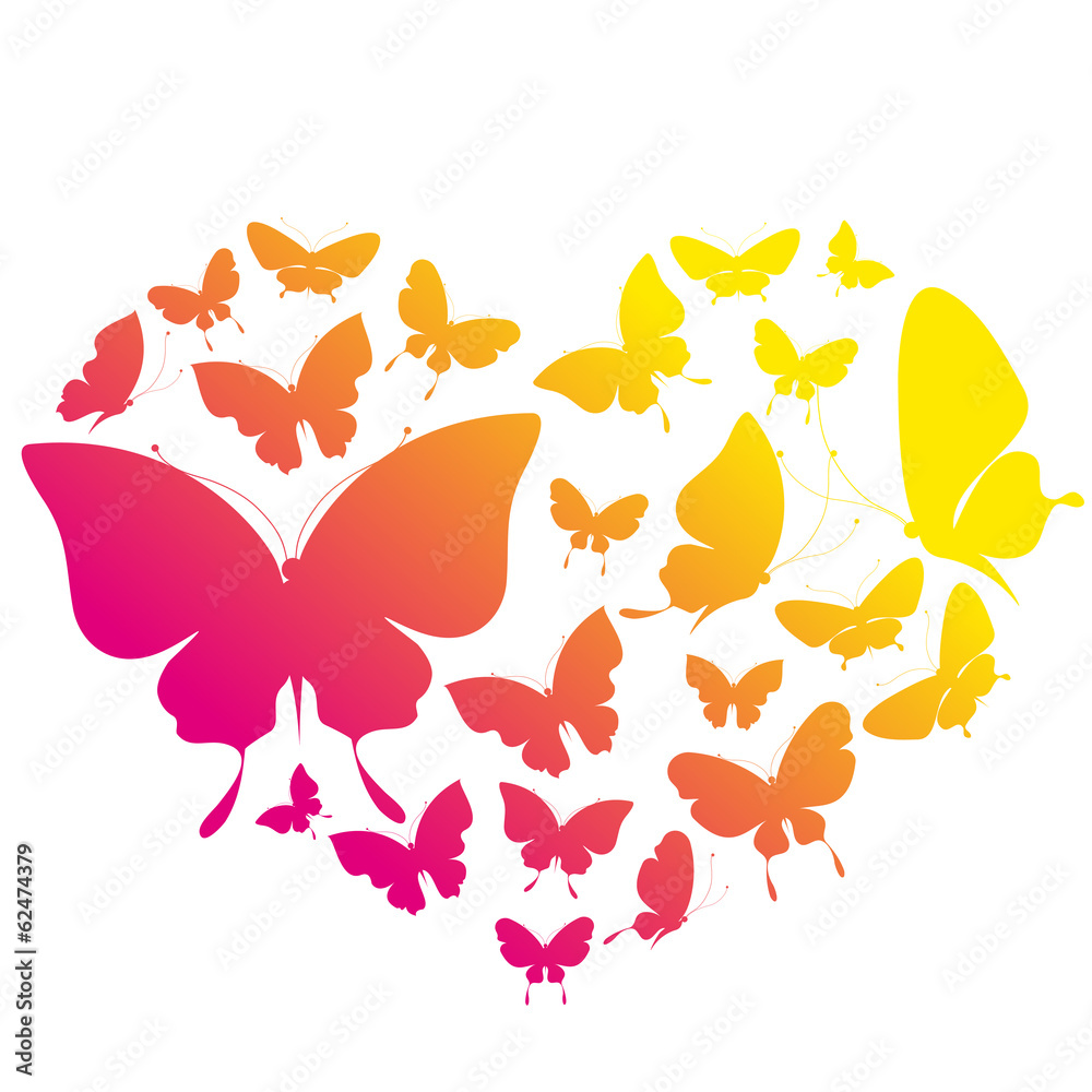 butterflies design butterflies design