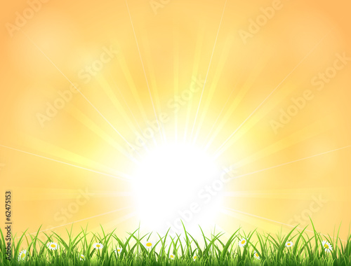 Background with Sun and grass