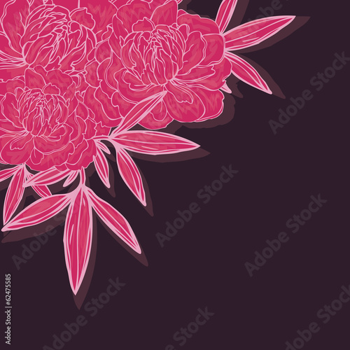 peonies background