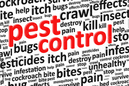 Pest Control For Bugs And Rodents Word Cloud Vector