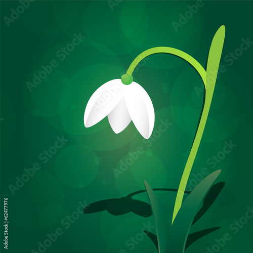 Snowdrop on an abstract background