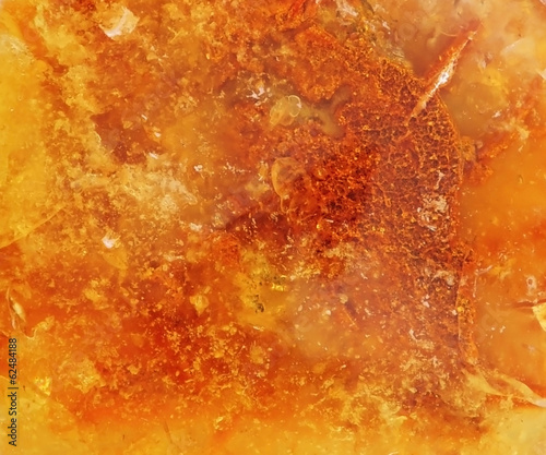 Baltic amber, resin segments, fossil millions of years