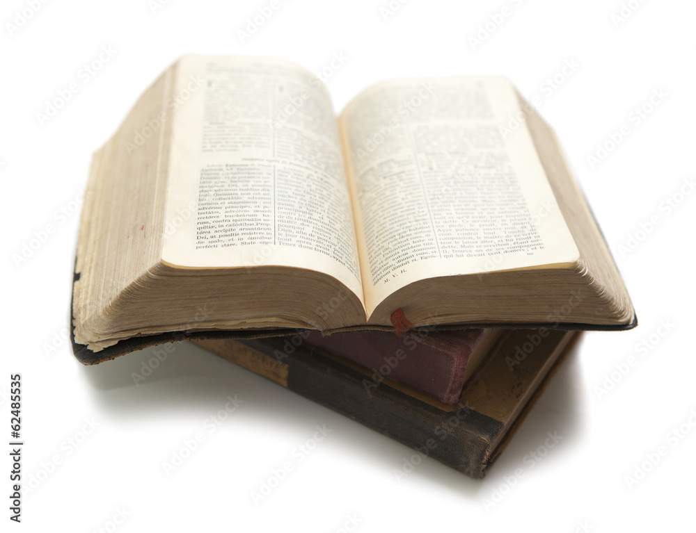 Obraz premium livre ancien ouvert