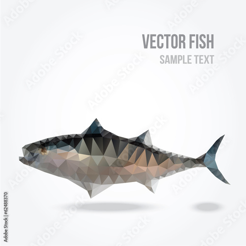 Modern polygon illustration of tuna fish, vector triangle design