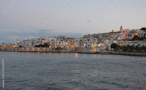 Twilight over the Vieste town