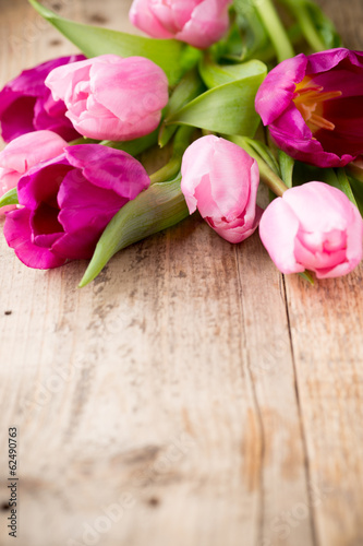 Fototapeta Naklejka Na Ścianę i Meble -  Tulip.