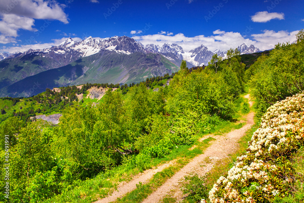 Fototapeta premium Alpine meadows in the Caucasus mountains.