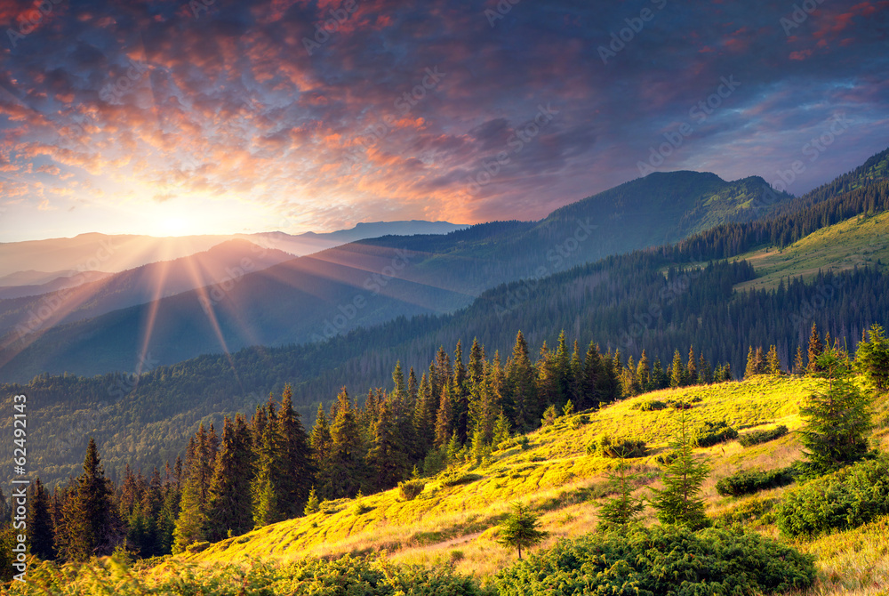 Colorful summer morning in the mountains.