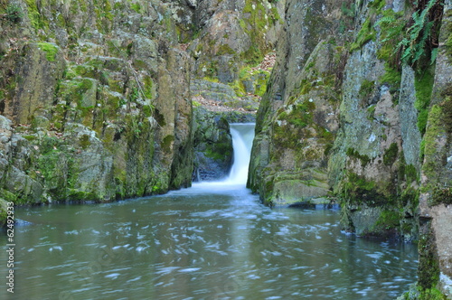 photo of small waterfall in forest