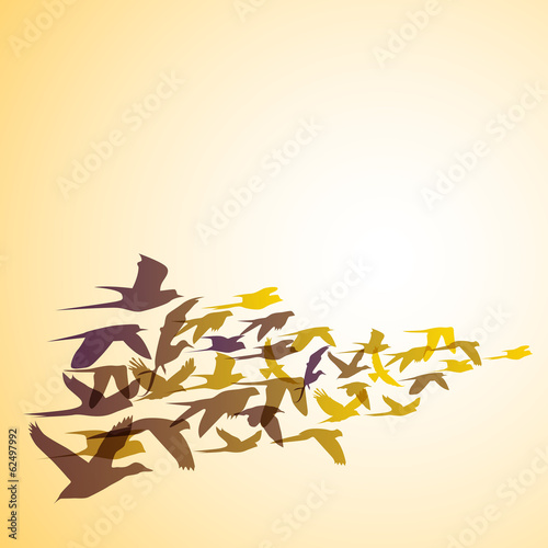 Vector Abstract swallows background