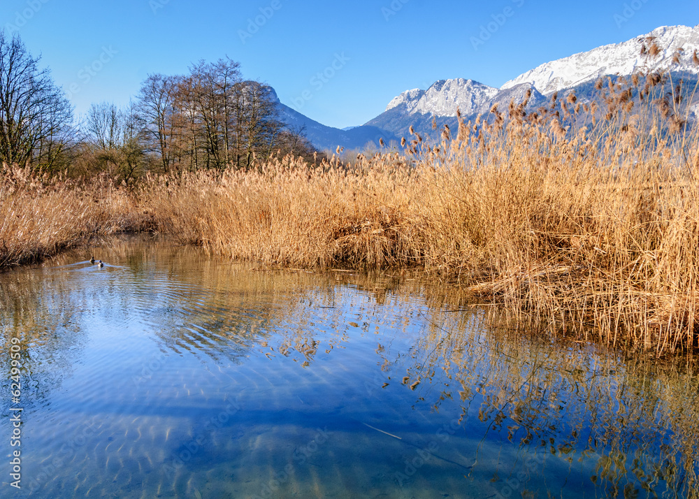 Réserve naturelle du Bout du lac d'Annecy Réserve naturelle du Bout du lac d'Annecy