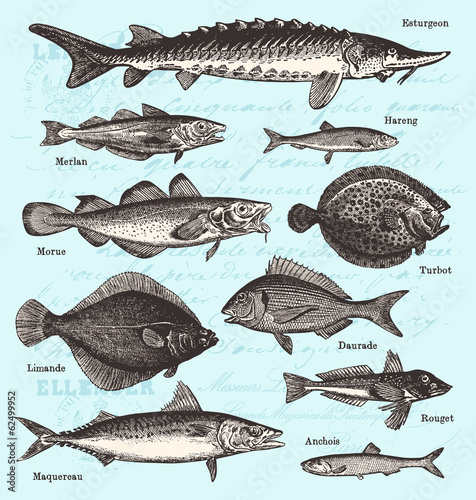 Poissons