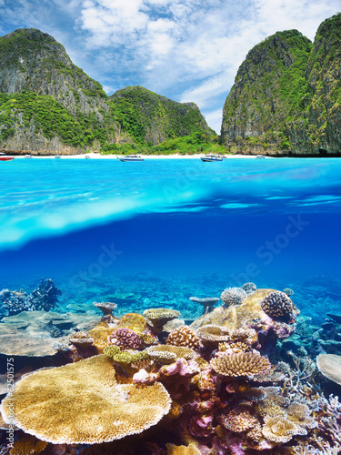 Lagoon with coral reef underwater view