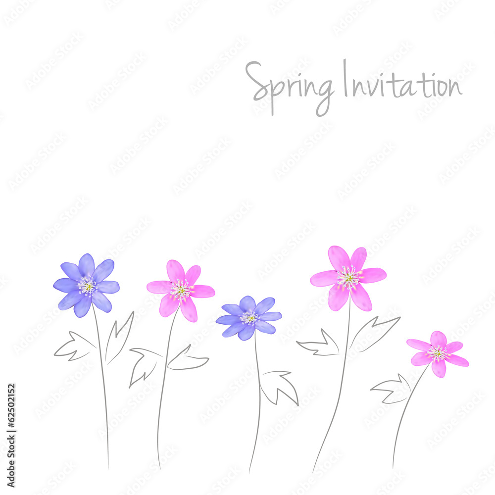 Cute card, invitation with watercolor flowers, anemones Cute card, invitation with watercolor flowers, anemones