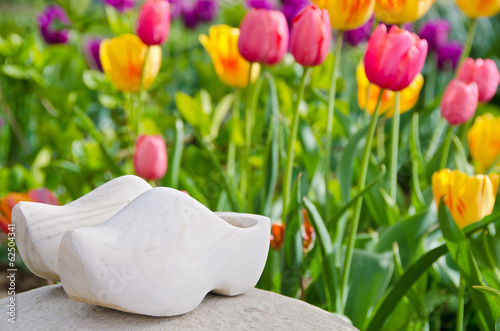 wooden shoes in tulip garden