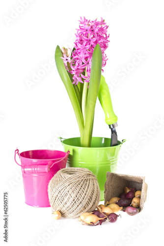 Planting Flowers. Bucket  Shovel  Seeds  Dlay Isolated on White