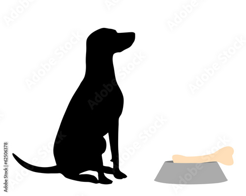 Hund füttern