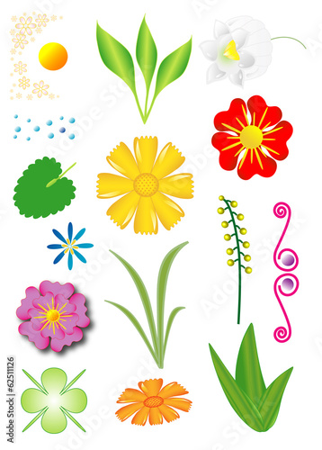 Fototapeta Naklejka Na Ścianę i Meble -  Set of flowers and plants, objects isolated, vector