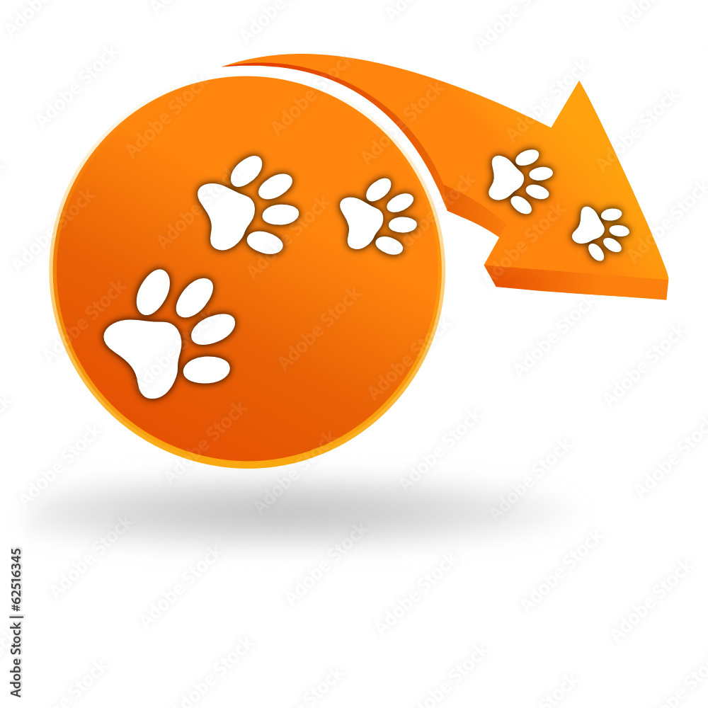 pattes de chien sur bouton orange pattes de chien sur bouton orange