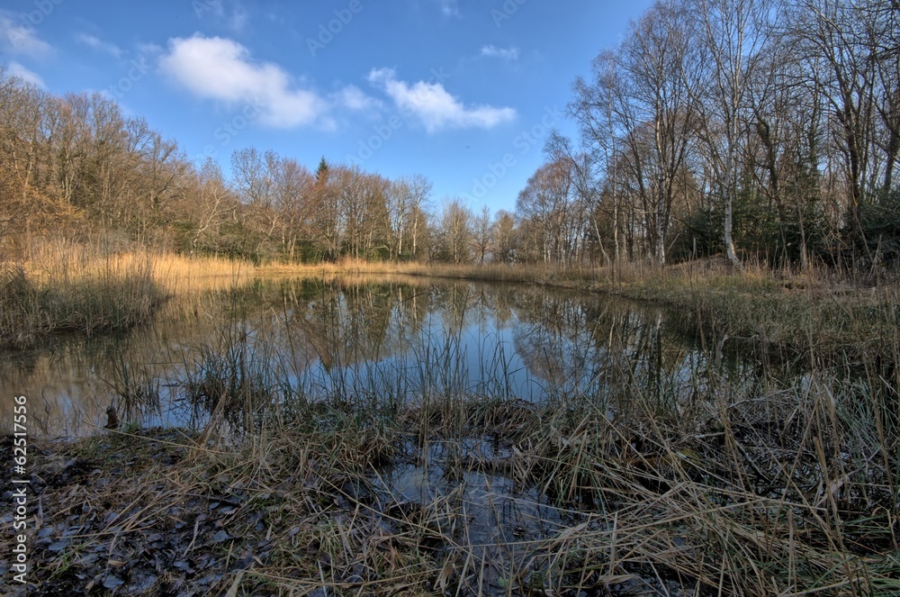 Lac noir et chemin des charbonniers.