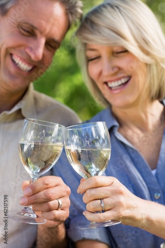 Cheerful couple toasting wine glasses