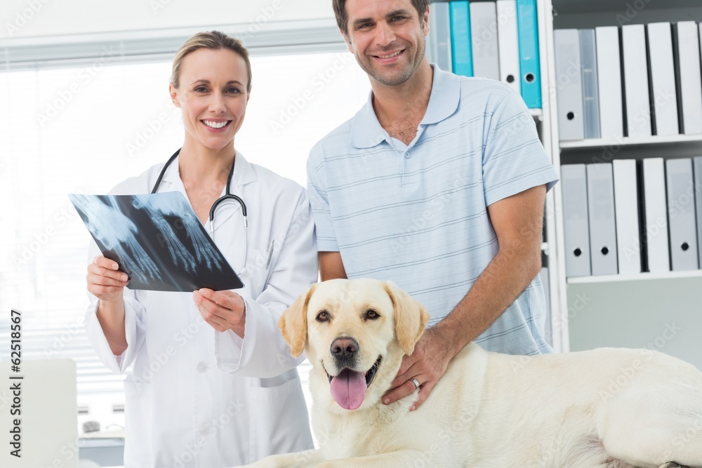 Pet owner and veterinarian with Xray of dog Pet owner and veterinarian with Xray of dog