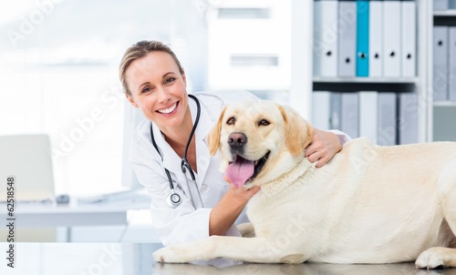 Female veterinarian examining dog photo