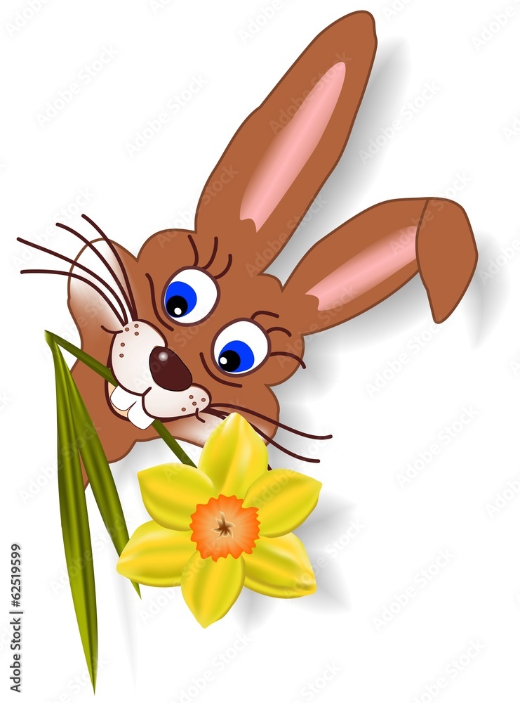 Fototapeta premium Osterhase mit Narzisse