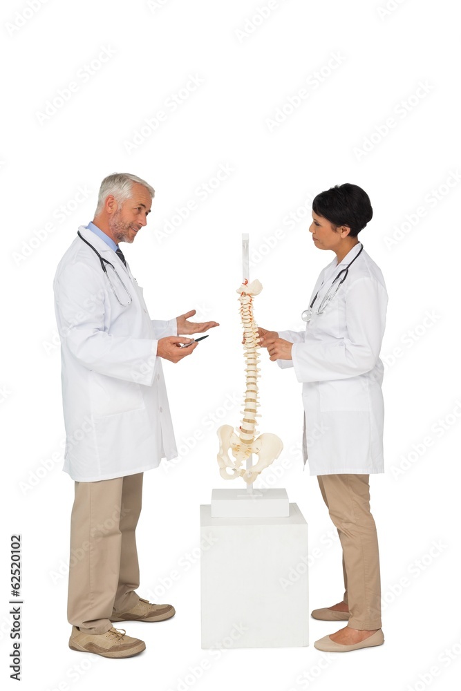 Fototapeta premium Two doctors discussing besides skeleton model