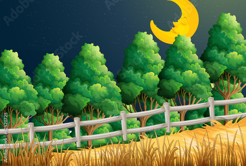 A view of the sleeping moon at the jungle