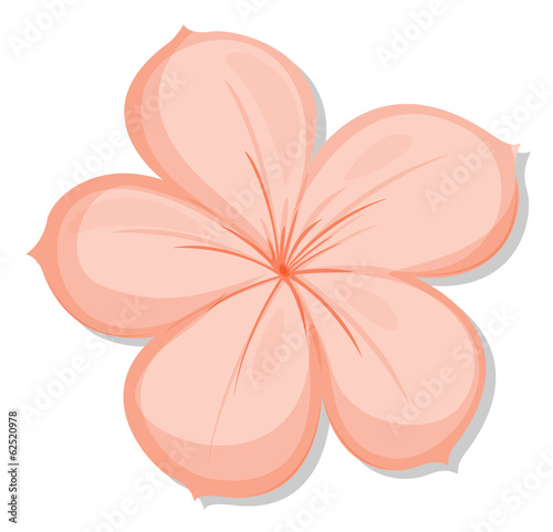 A five-petal flower