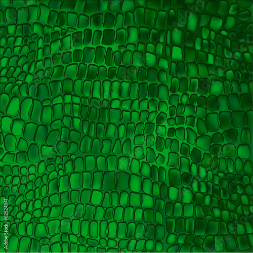 crocodile background