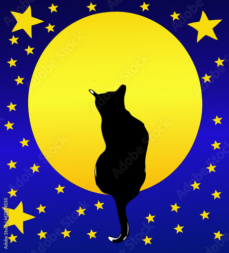 Il Gatto, la Luna piena e un cielo stellato