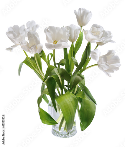 white tulips