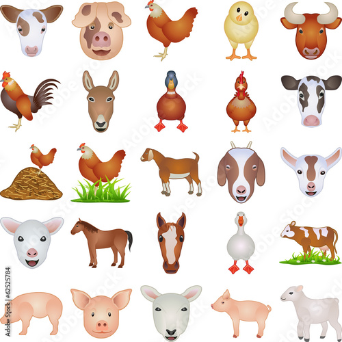 Tiere