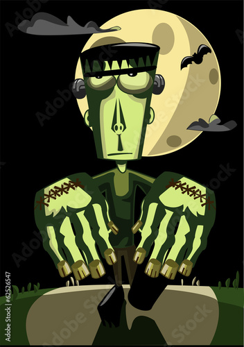 Mr. Frankenstein