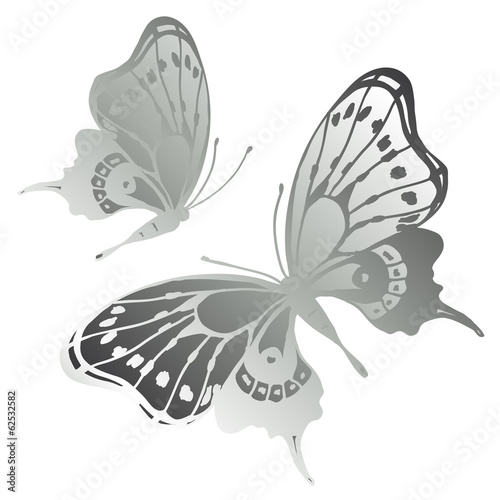 butterflies design