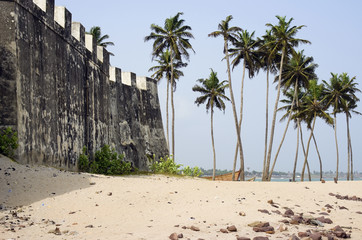 Crédence de cuisine Afrique Littoral sauvage de la côte africaine  © Aleksandr Volkov