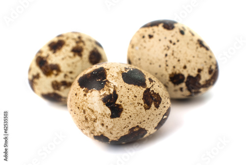 quail eggs