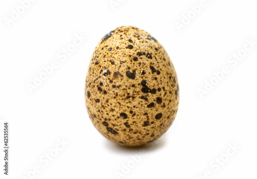 quail eggs